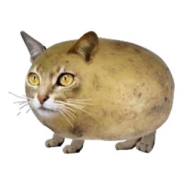 Федя и Самат